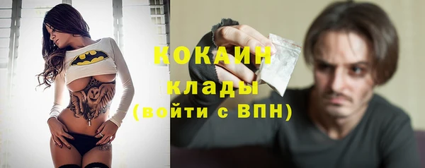 дживик Алексин