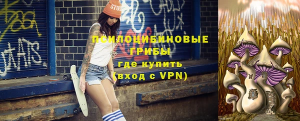 ALPHA PVP Остров