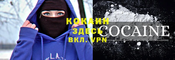 дживик Алексин