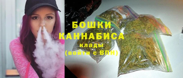 ALPHA PVP Осинники