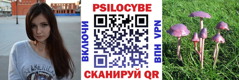 кракен рабочий сайт Нерехта Галлюциногенные грибы GOLDEN TEACHER купить цена
